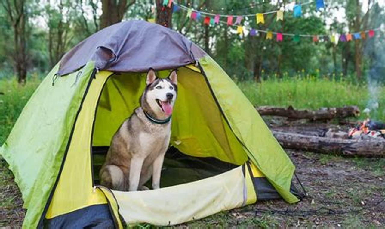 The Best Tents for Camping with Your Dog: A Comprehensive Guide for Pet-Friendly Adventures