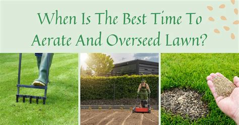 How to [AERATE YOUR LAWN] for GREAT RESULTS // LAWN AERATION YouTube