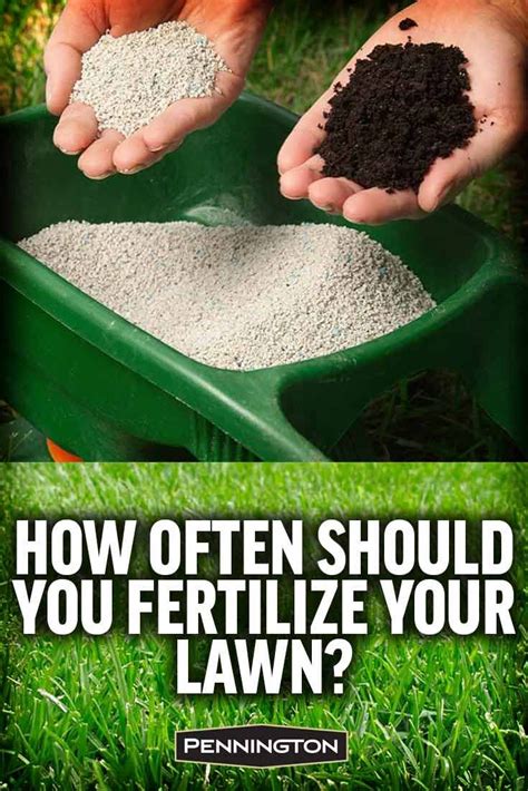 Can You Mow After Fertilizing? greeniq.co