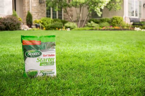 What is the best lawn fertilizer to use in the summer time? Quora