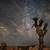 best time to see stars in joshua tree