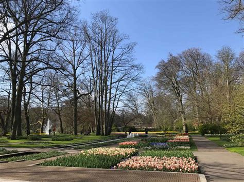 Keukenhof Tulip Gardens Best Time To Visit Beautiful Flower