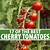 best tomatoes to grow in michigan