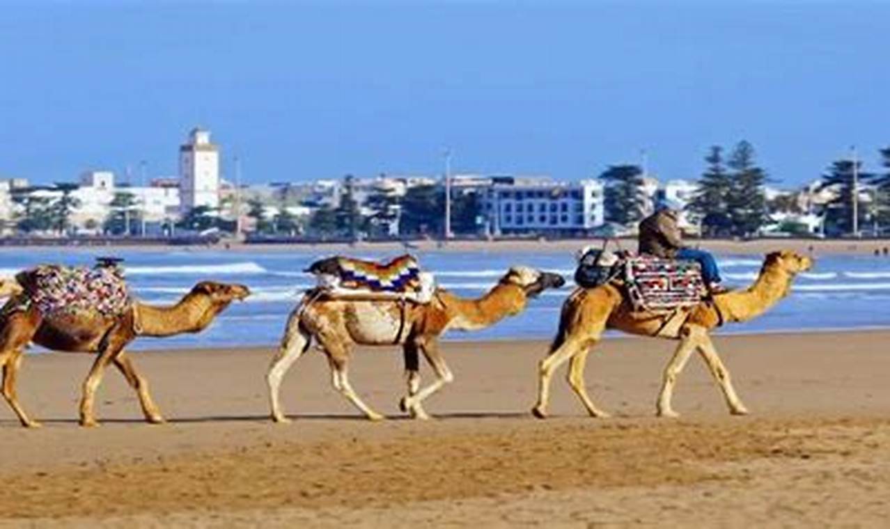best travel agent for morocco