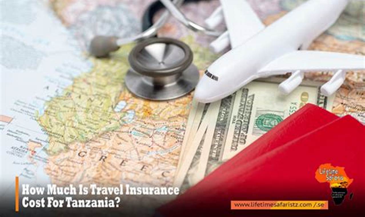 best travel insurance for tanzania