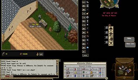 Ultima Online Classic Client TOP 5 Settings - YouTube
