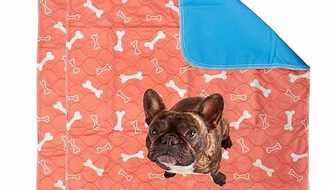 9 Best Puppy Pads In 2021 | Reviewed & Buying Guide