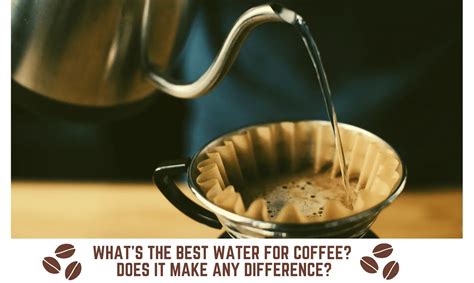 Water and Coffee Understanding How Temperature Affects Your Cup The