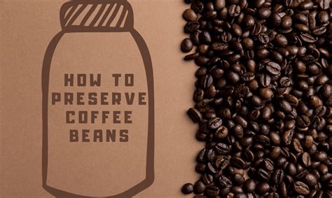 What's the best way to keep coffee beans fresh?