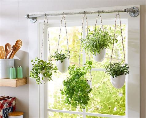 Best Window Plant Hangers for Indoor Plants Backyard Boss