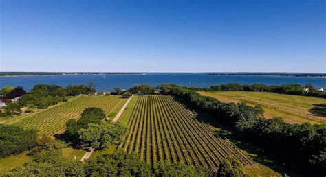North Fork Wineries with Views Long Island Pulse Magazine