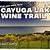 best winery on cayuga lake