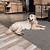 best wood flooring for big dogs