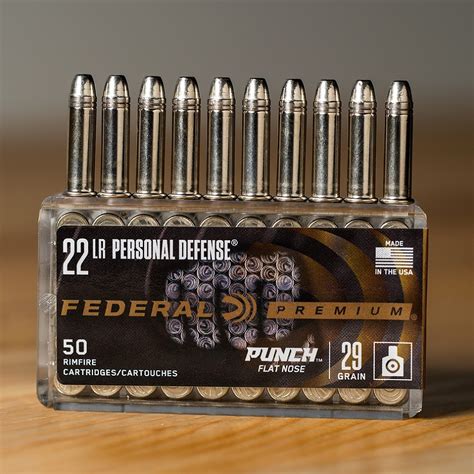 Best 22 Ammo For Self Defense