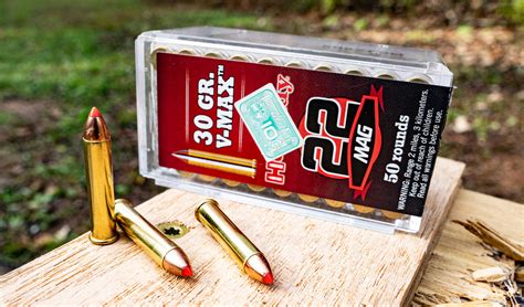 Best 22 Mag Ammo For Pmr-30