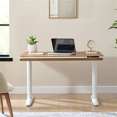 Best Adjustable Desk Costco