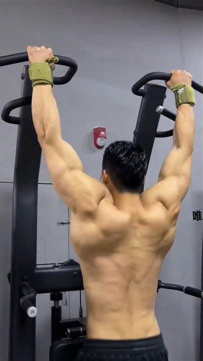 Best Aesthetic Back Workout