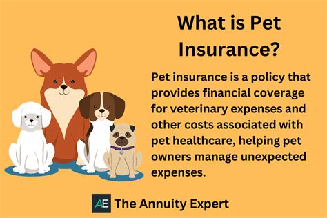 best affordable pet insurance approaches
