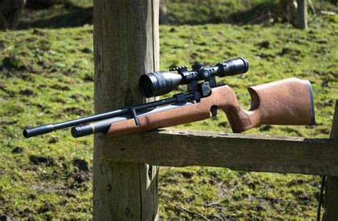 Best Air Rifle For 200 Pounds 