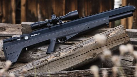 Best Air Rifle For Preppers
