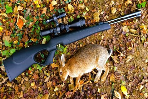Best Air Rifle For Shooting Rabbits Uk