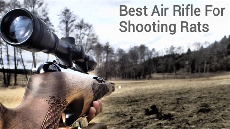 best air rifle pellets for rats
