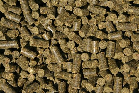 best alfalfa pellets for horses