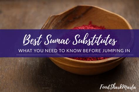 Best Alternative For Sumac