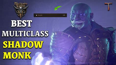 best armor for shadow monk bg3