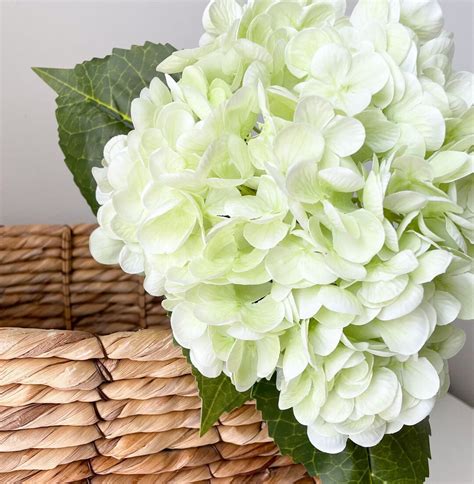Best Artificial Hydrangeas Uk