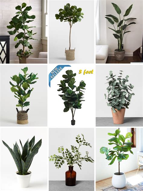 Best Artificial Plants