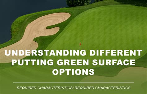 Best Artificial Putting Surface