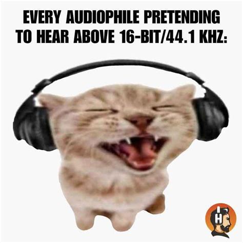 Car Audio Memes Funny posts for car lovers and those who like