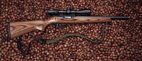 Best Auto 22 For Squirrels Rifle