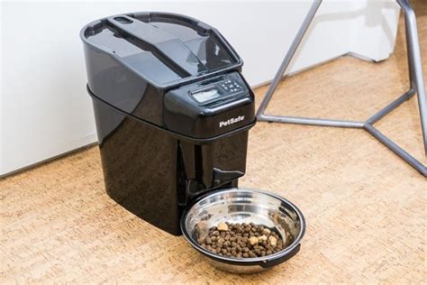 Best Automatic Cat Feeder Wirecutter