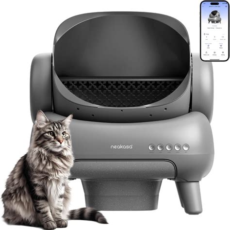 Best Automatic Kitty Litter