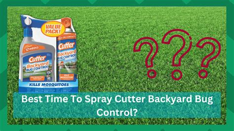 Best Backyard Bug Control