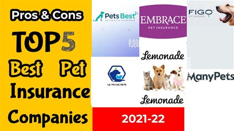 best basic pet insurance companies