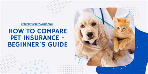 best basic pet insurance comparison