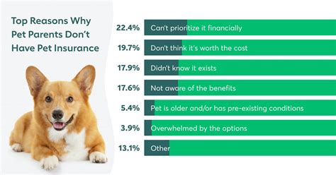 best basic pet insurance options