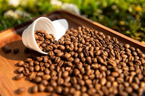 Best Bean For Coffee