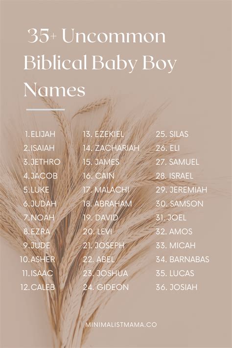 best bible boy names