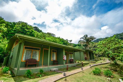 best birding lodges in costa rica