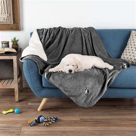 best blankets for dogs