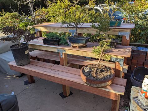 Best Bonsai Bench