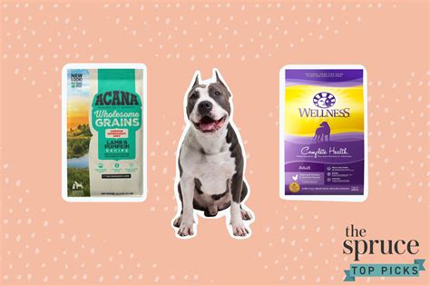 best brand of dog food for pitbull puppies