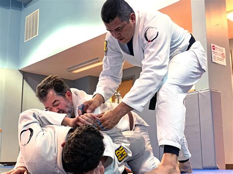 best brazilian jiu jitsu schools