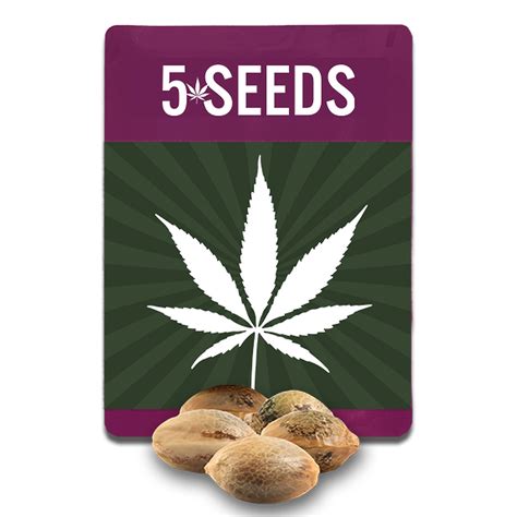best cannabis seed shop