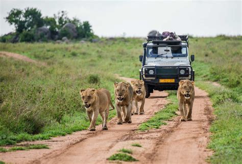 best car tours of south africa