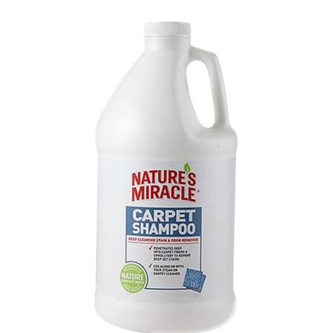 Best Carpet Shampoo Without Machine